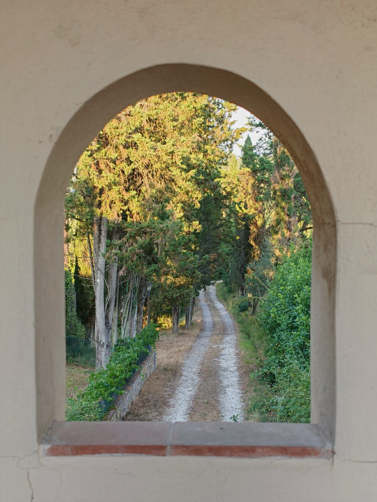 Arched window framing the tree-lined driveway